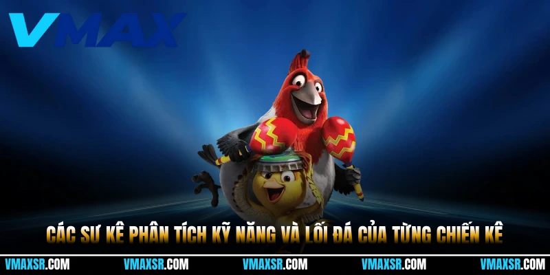 Thuật ngữ đá gà