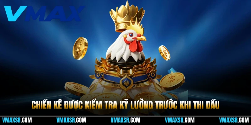 Trường gà Campuchia